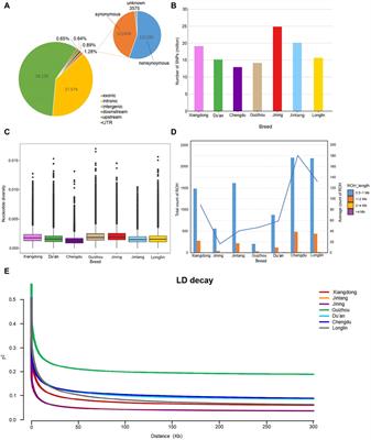 Comprehensive whole-genome resequencing unveils genetic diversity and selective signatures of the Xiangdong black goat